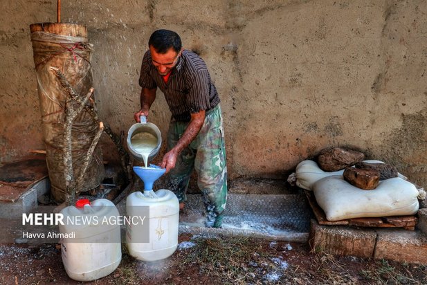 دامداری سنتی مازندران