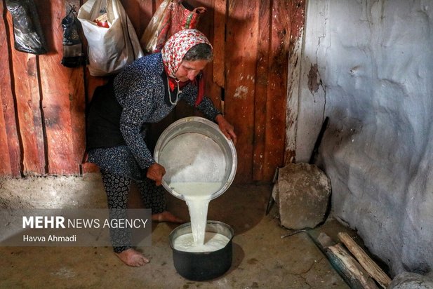 دامداری سنتی مازندران