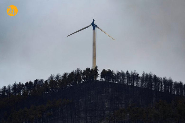 آتش در جنگل‌های اسپانیا