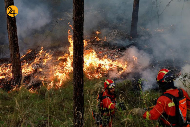 آتش در جنگل‌های اسپانیا