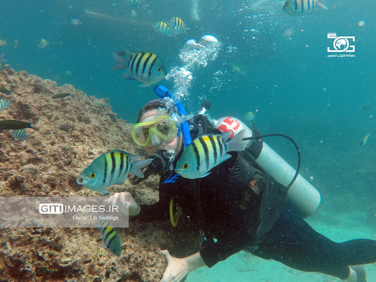 دنیای زیر آب کیش