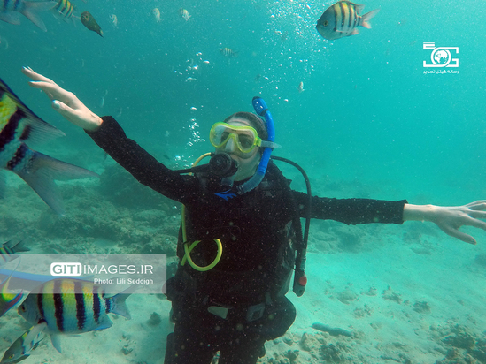 دنیای زیر آب کیش