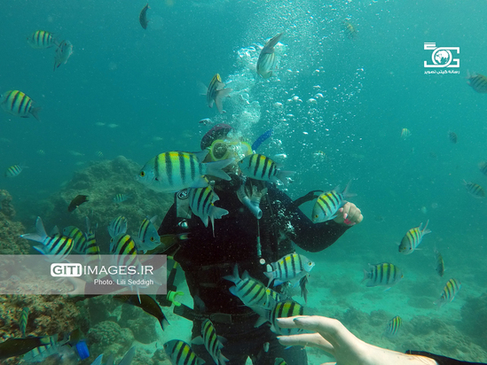 دنیای زیر آب کیش