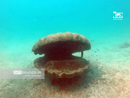 دنیای زیر آب کیش