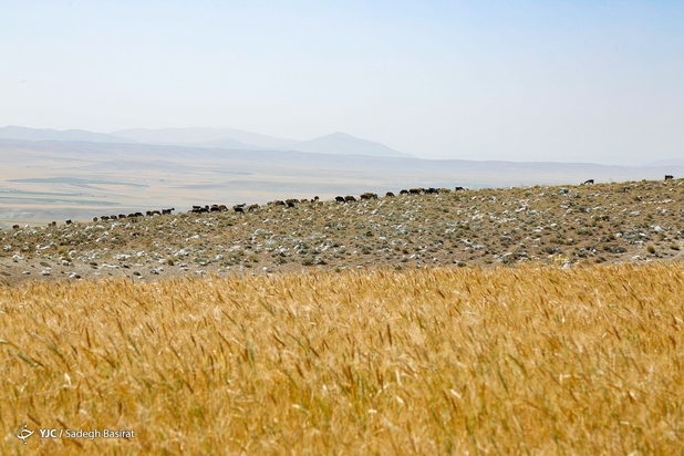 مراتع شهر سمیرم در حصار زباله