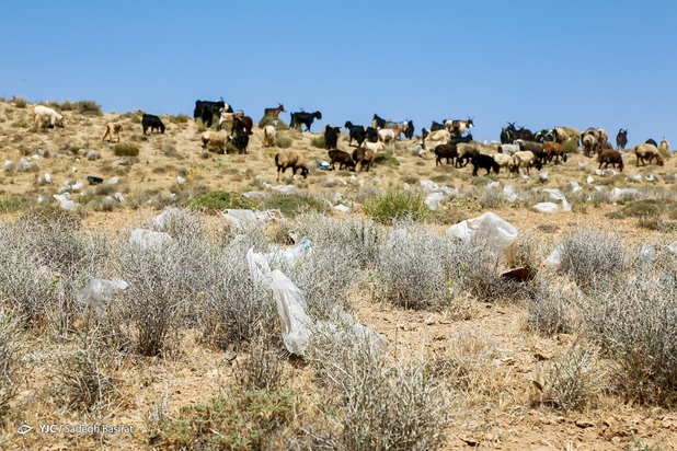 مراتع شهر سمیرم در حصار زباله