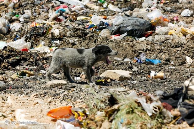 مراتع شهر سمیرم در حصار زباله