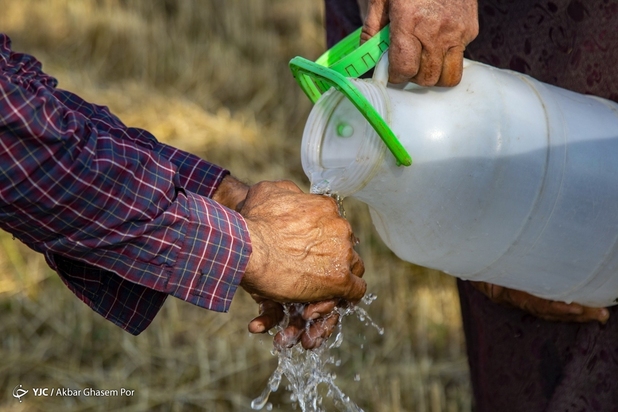 برداشت خوشه‌های طلایی