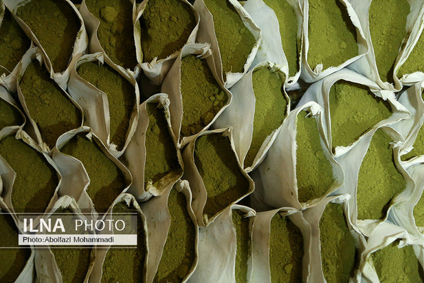 عطر حنا در مازاری‌های یزد