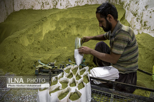 عطر حنا در مازاری‌های یزد