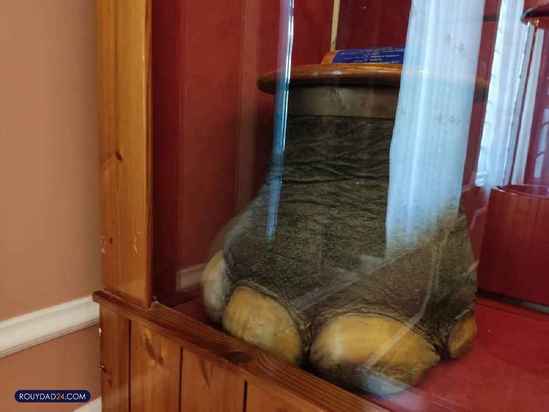 کاخ مرمر رامسر