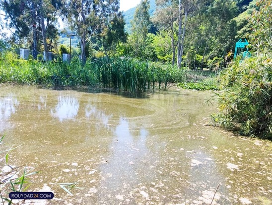 کاخ مرمر رامسر