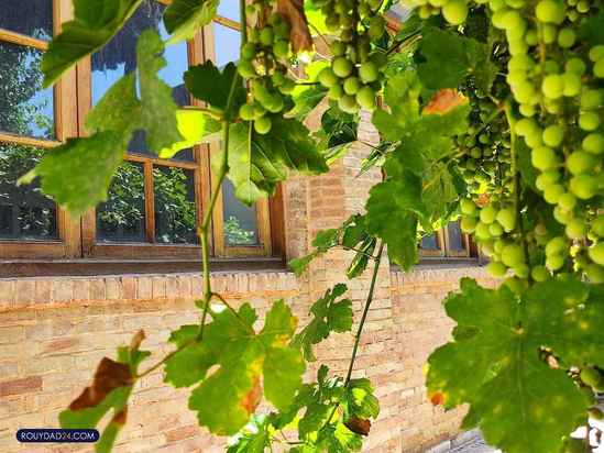 تصاویر درالفنون