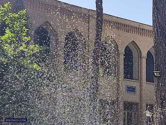 تصاویر درالفنون