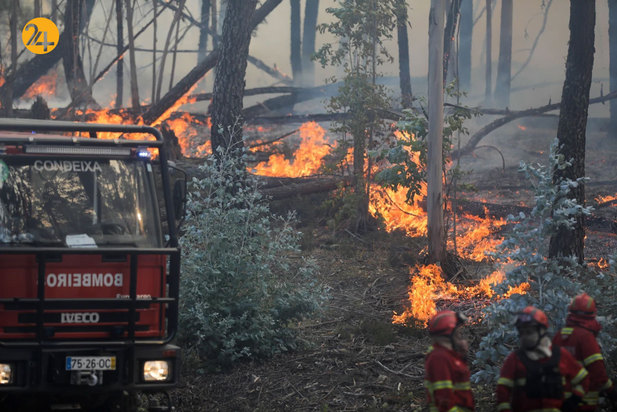 آتش‌سوزی در جنگل‌های پرتغال