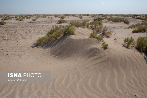 مقابله با بیابان زایی تلاش نسل ها
