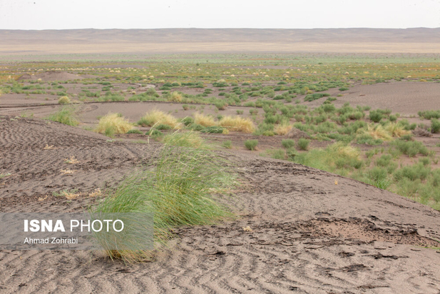 مقابله با بیابان زایی تلاش نسل ها