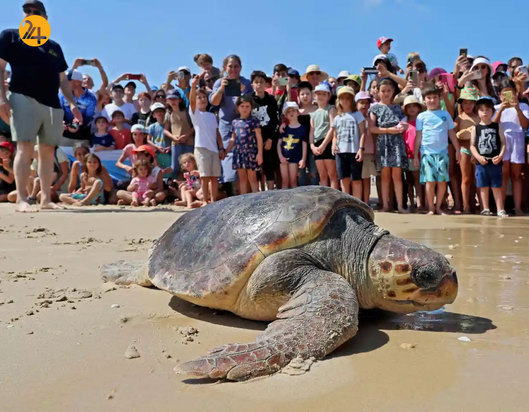 حیات وحش به روایت تصویر