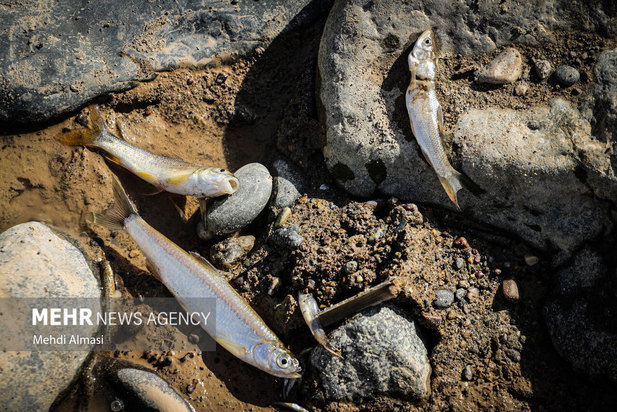 خشکی رودخانه قزل اوزن