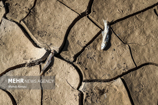 خشکی رودخانه قزل اوزن
