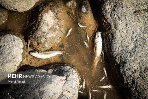 خشکی رودخانه قزل اوزن