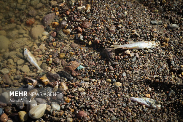 خشکی رودخانه قزل اوزن