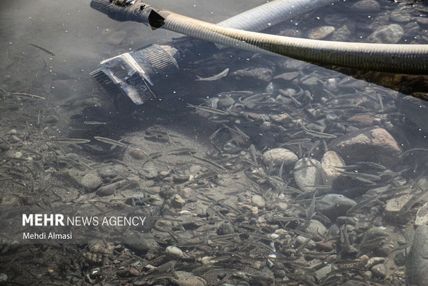 خشکی رودخانه قزل اوزن