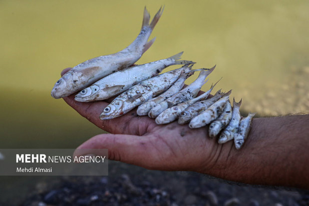 خشکی رودخانه قزل اوزن