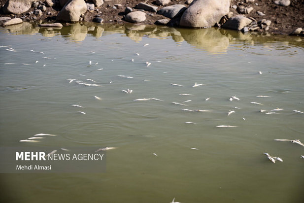 خشکی رودخانه قزل اوزن