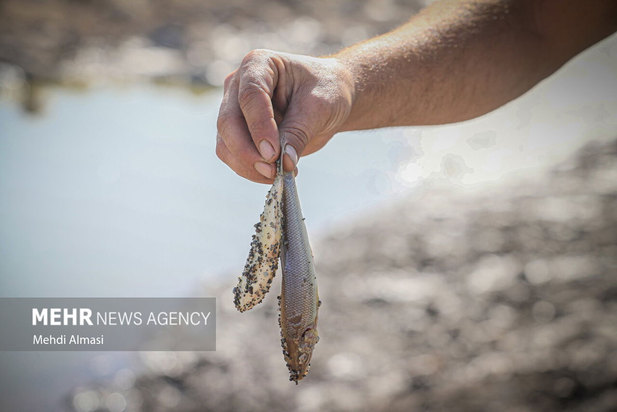 خشکی رودخانه قزل اوزن