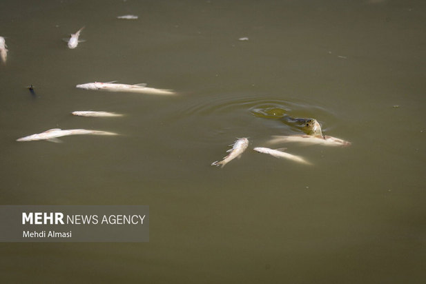 خشکی رودخانه قزل اوزن