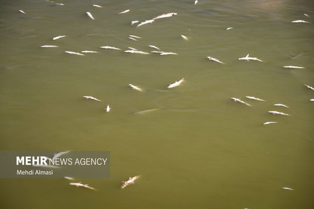 خشکی رودخانه قزل اوزن
