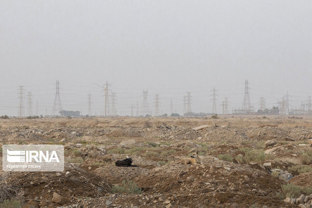 حیاتِ پناهگاه