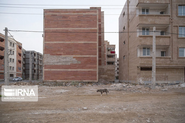 حیاتِ پناهگاه