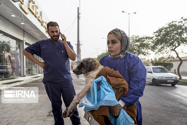 حیاتِ پناهگاه