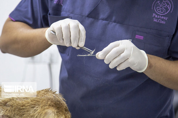 حیاتِ پناهگاه