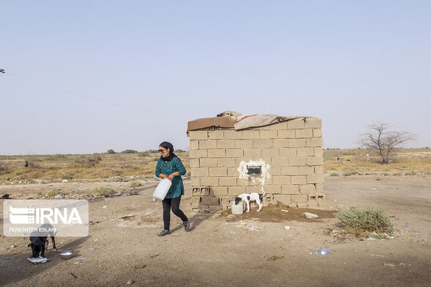 حیاتِ پناهگاه