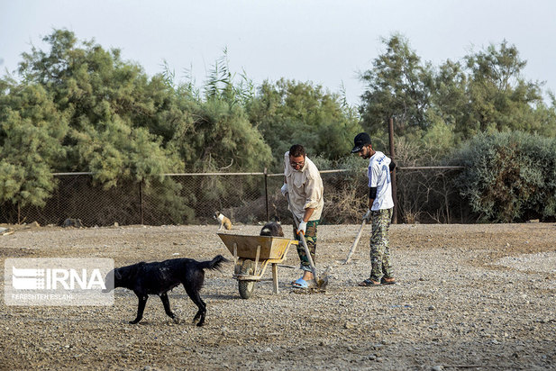 حیاتِ پناهگاه