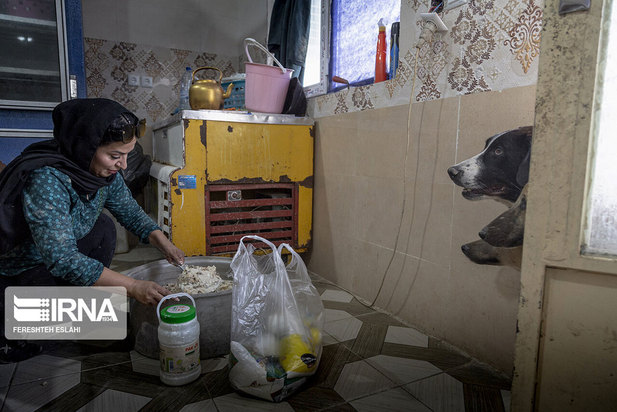 حیاتِ پناهگاه