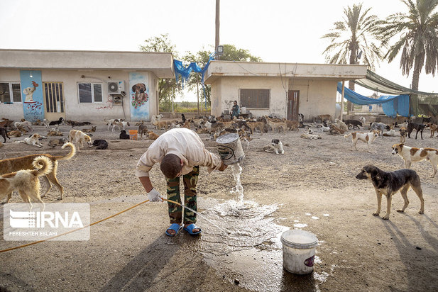 حیاتِ پناهگاه