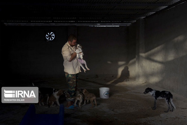 حیاتِ پناهگاه