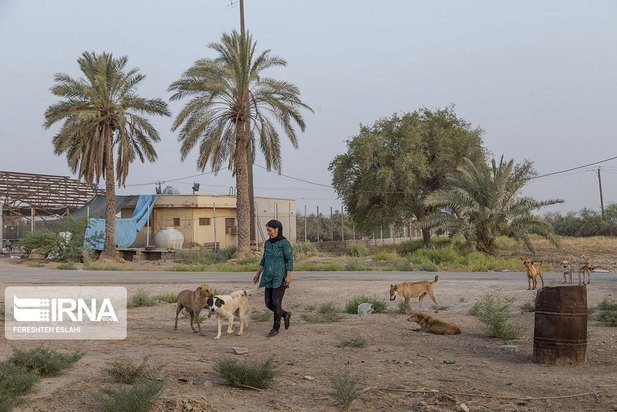 حیاتِ پناهگاه