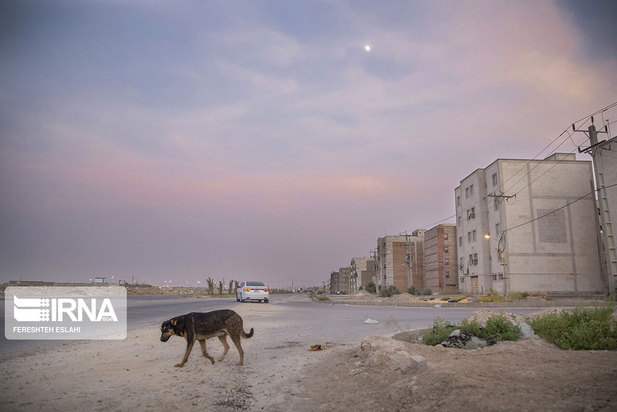 حیاتِ پناهگاه