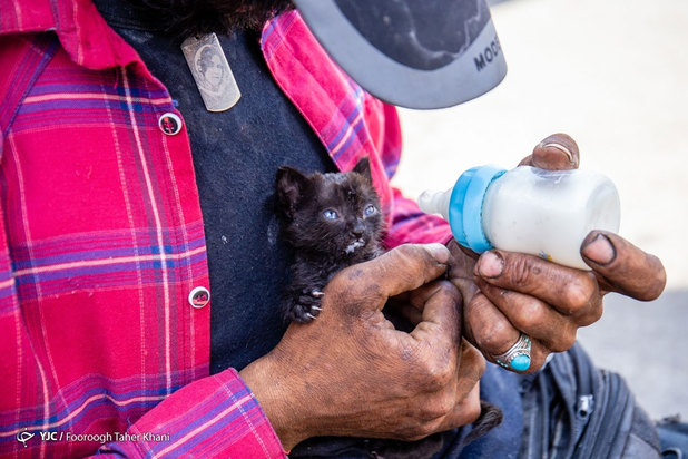 جولان اعتیاد در تهران