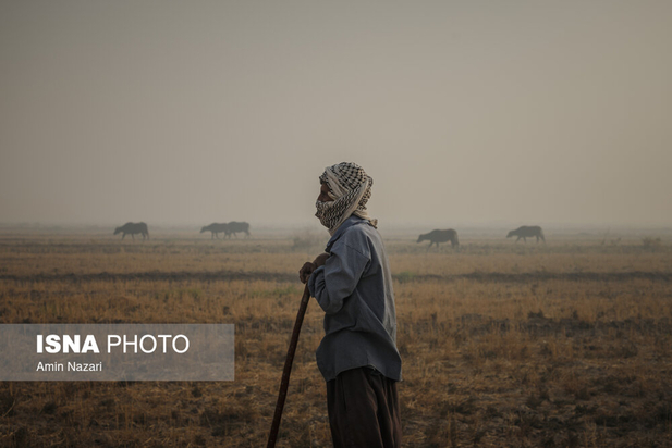 هورالعظیم در آتش