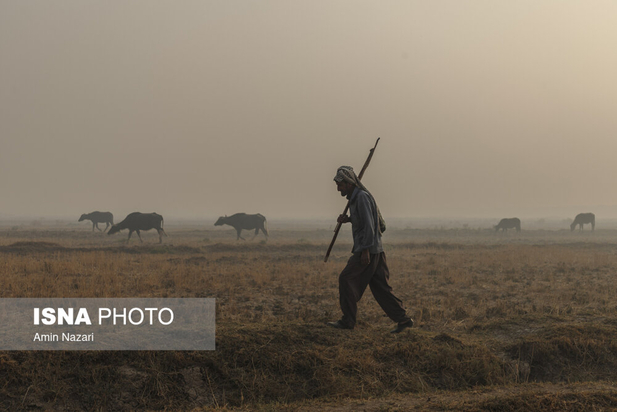 هورالعظیم در آتش