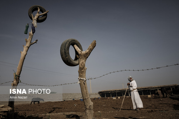 هورالعظیم در آتش