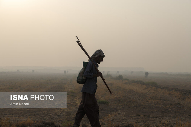 هورالعظیم در آتش