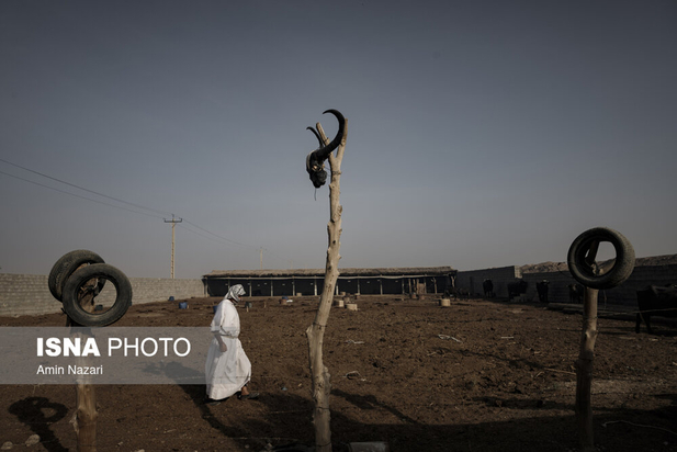 هورالعظیم در آتش