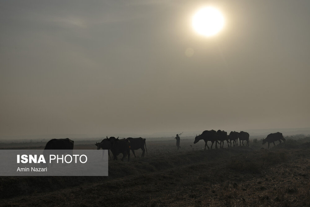 هورالعظیم در آتش